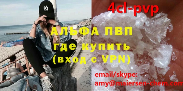 молекула духа Пересвет